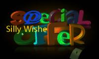 Silly Wisher安装器  0.61